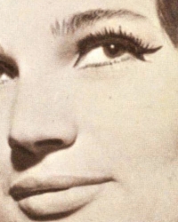 Silvana Armenulić