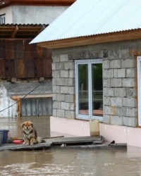 Poplave u Sibiru / Foto: Profimedia.rs