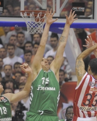 Crvena zvezda  - Panatinaikos / Foto: Aleksandar Dimitrijević