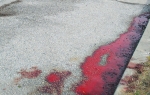 Žrtva ostavljena da iskrvari: Mesto ubistva