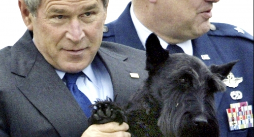 Barni i Džordž Buš | Foto: 