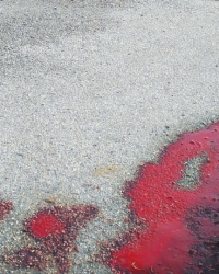 Žrtva ostavljena da iskrvari: Mesto ubistva