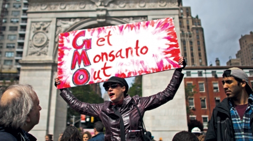 Uspeli protesti  protiv GMO