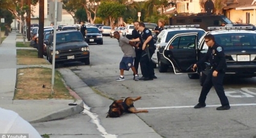 Rosbi može samo da viče dok mu policajci ubijaju psa