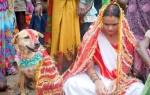 Indija-venčanje Foto: Profimedia