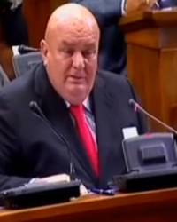 Dragan Marković Palma