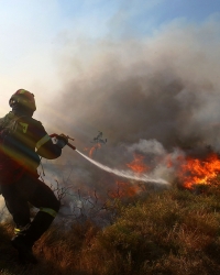 požar, Evropa, teroristi, Grčka