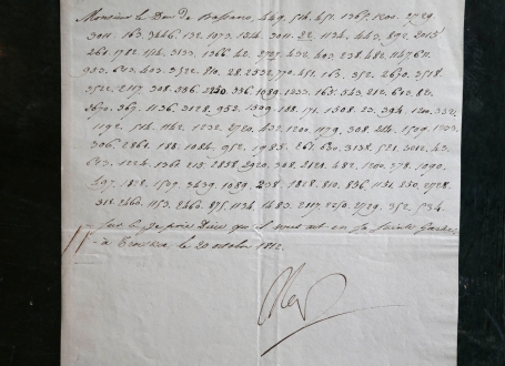 Naopoleonovo pismo