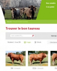 trouverlebontaureau.com