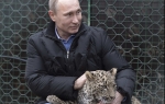 Putin mazi leoparda