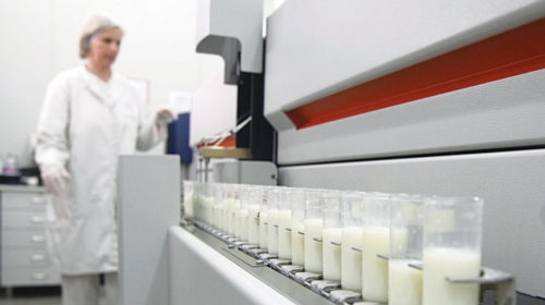 Rezultati superanalize mleka iz Holandije najavljeni za sutra