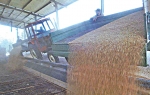 Mlinari i pekari traže zabranu  uvoza pšenice i brašna iz Makedonije