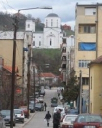 Vladičin Han