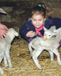 Najviše vole  da jedu iz  Nikolinine ruke