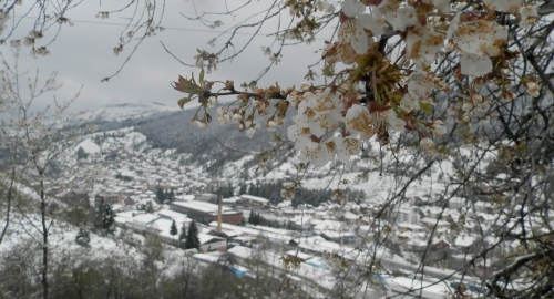 Nova Varoš pod snegom Foto: Željko Dulanović