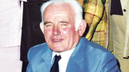 Budimir  Milosavljević