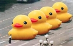 Žuta patka je popularna skulptura u Pekingu
