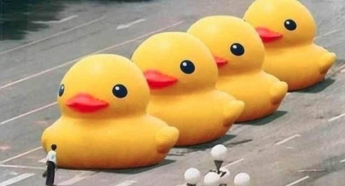 Žuta patka je popularna skulptura u Pekingu