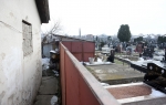 Groblje u Batajnici proširilo se do dvorišta kuća / Foto: Vesna Lalić
