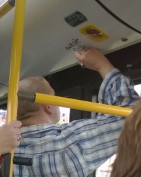 Autobus