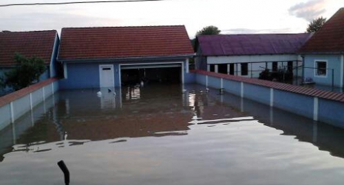 Dvorišta za vreme poplava | Foto: 