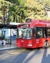 Napad na vozača GSP