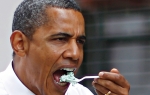 Tek u drugom mandatu u  Beloj kući može da pokaže šta zna: Barak Obama