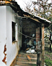 Lalinci