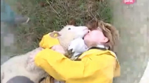 Poljubac Gordane i jagnjeta