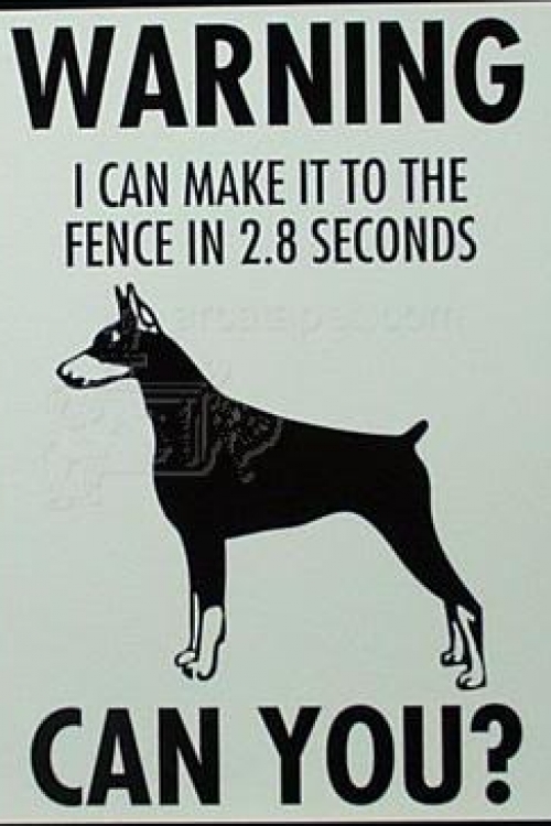 Upozorenje. Ja do ograde mogu da stignem za 2,8 sekundi. Možeš li ti?