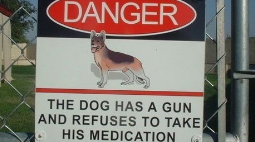 Opasnost! Pas ima pušku i odbija da uzima svoje lekove!