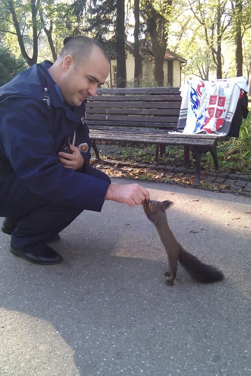 Policajac i veverica