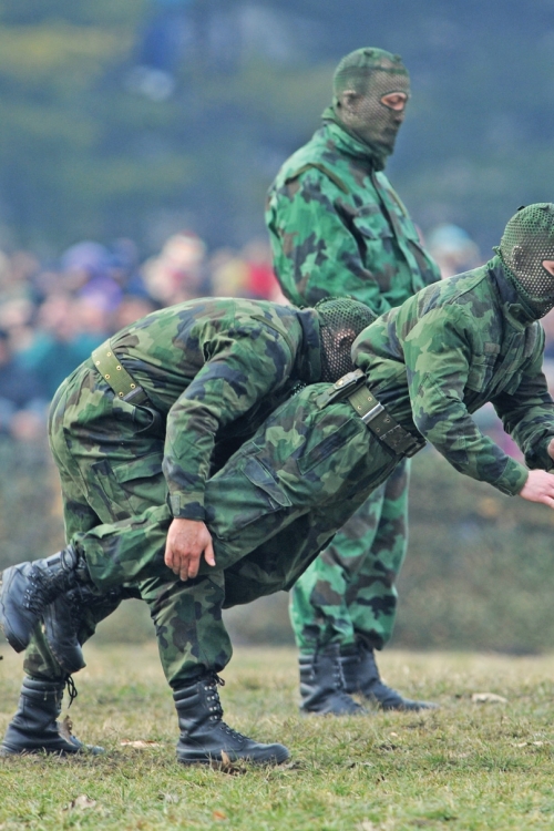 Misija umerenog rizika: Vojska Srbije