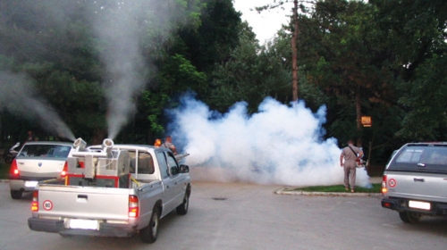 U Pančevu i Kovinu uvedena vanredna situacija zbog komaraca