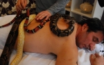 Jovan Memedović na tretmanu zmijama