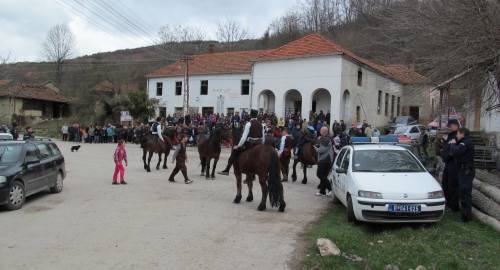 Trka neosedlanih konja / Foto: Zoran Panić | Foto: 