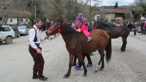 Trka neosedlanih konja / Foto: Zoran Panić