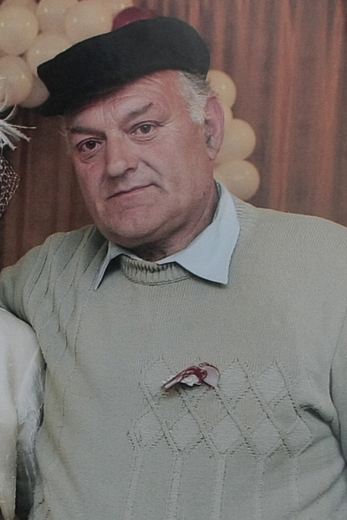 Mikailo Despotović