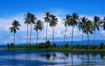Bali Palme Egzotično ostrvo