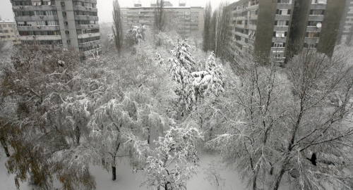 Zavejani u snegu | Foto: 