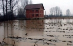 Leskovac - poplava