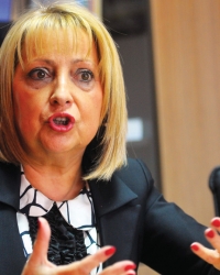 To rešavaju komisije: Slavica Đukić  Dejanović