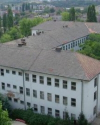 Osnovna škola "Branko Radičević", Bor