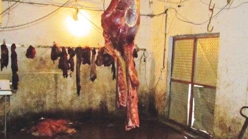 Sporno meso  uginulih životinja  se i dalje ispituje