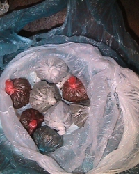 Zaplenjena marihuana