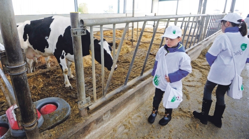 Školarci kroz igru učili  o organskoj proizvodnji mleka