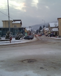 Babušinac