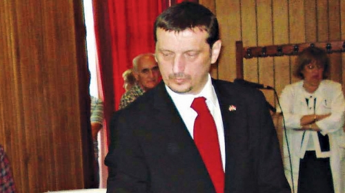 Direktor za primer:  Zoran Radovanović