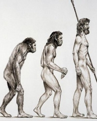 evolucija