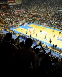 Pionir